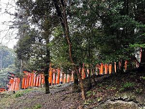NARA - Temple Todai-Ji - 18.01.2024 -12